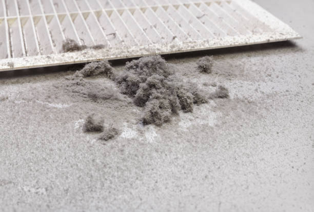 Best Dryer Vent Cleaning Services  in Sargent, TX