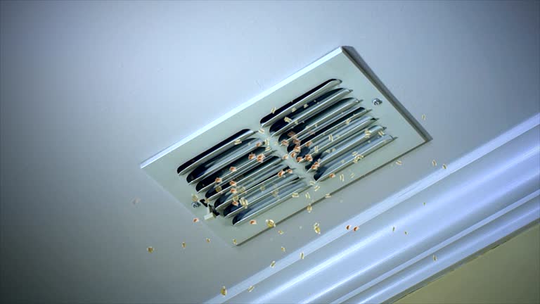 Best Air Vent Cleaning Services  in Sargent, TX