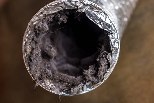 Best Commercial HVAC Duct Cleaning  in Sargent, TX
