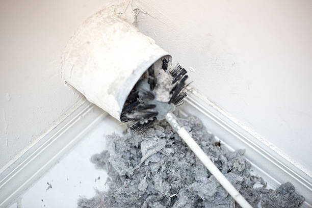 Best Home Air Vent Cleaning  in Sargent, TX